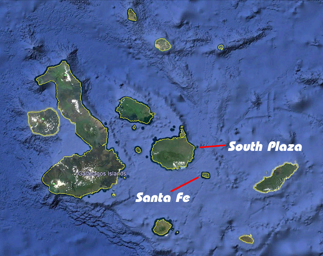 Galapagos day 3a